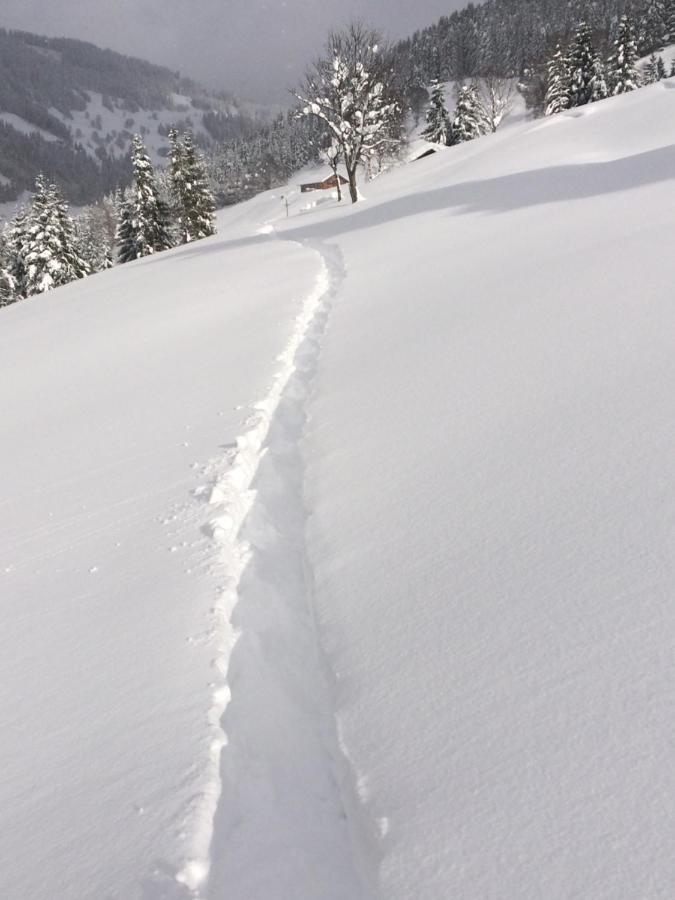 Appartements Feroli Dienten am Hochkönig Kültér fotó