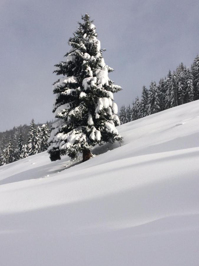 Appartements Feroli Dienten am Hochkönig Kültér fotó